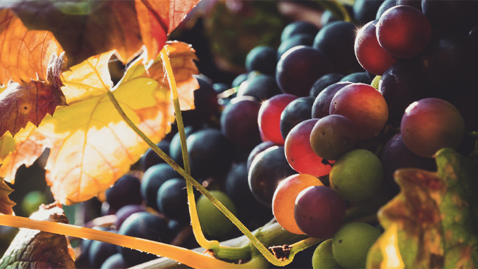 Private Credit Outlook: A Maturing Market Enters Its Next Phase