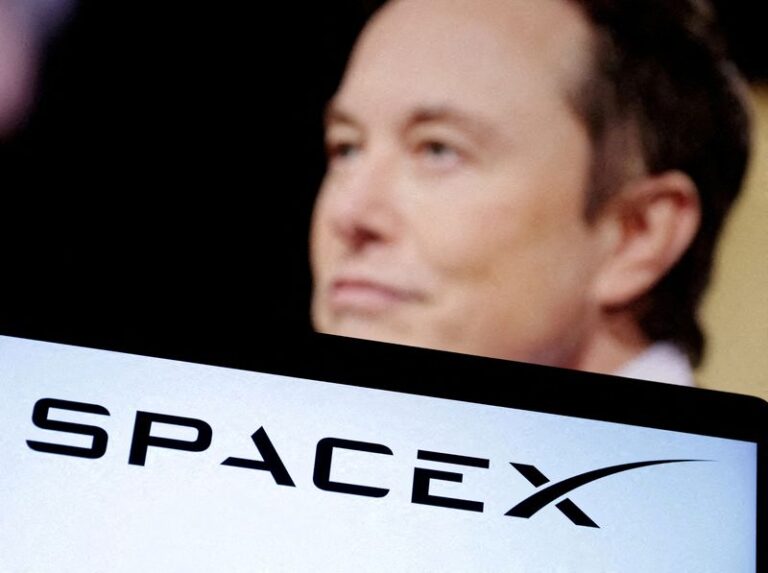 FILE PHOTO: Illustration shows SpaceX's logo and Elon Musk