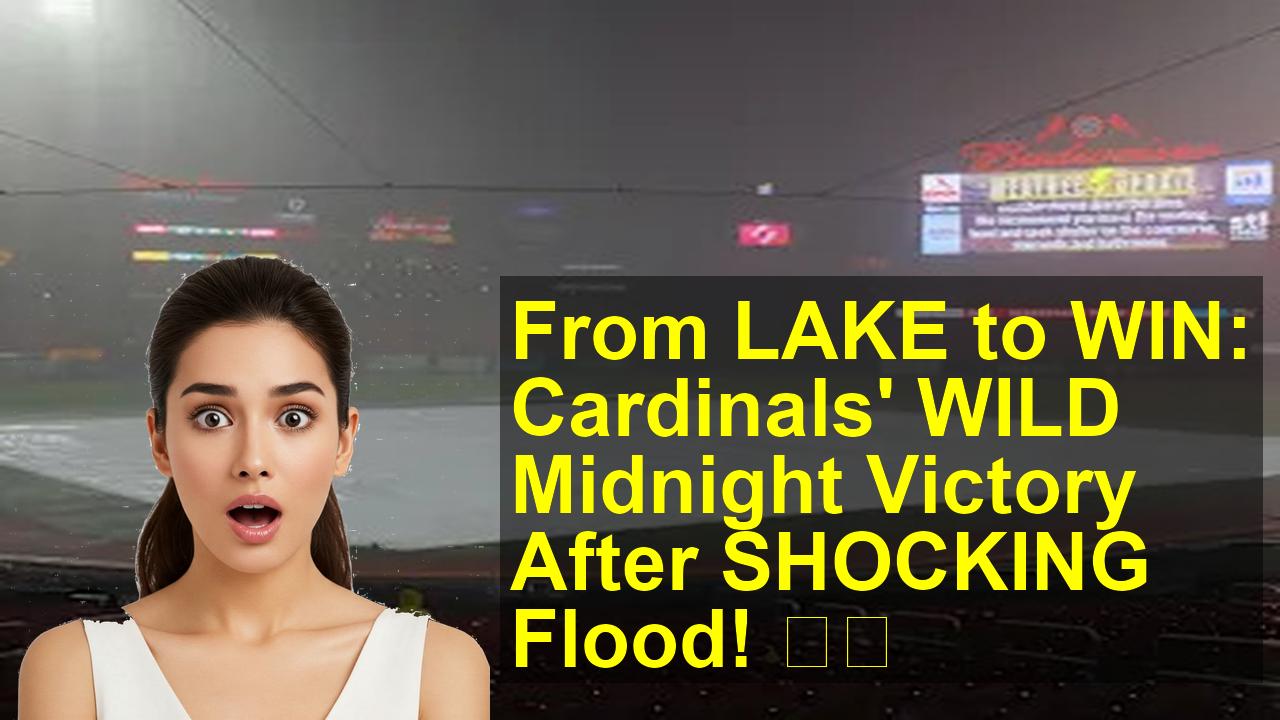 thumbnail_a0cc5e60-f667-4af8-bada-4f1599da7f5a