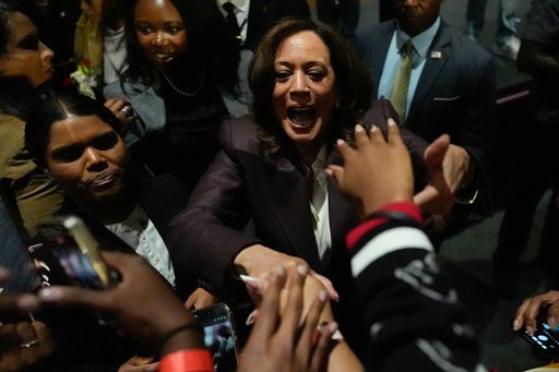 Election 2026 Georgia Senate